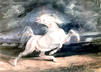 Weißes Pferd, 19. Jahrhundert