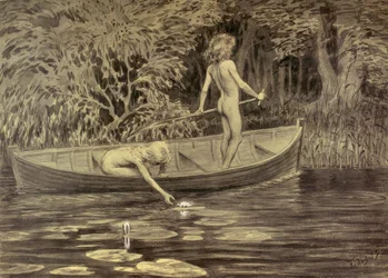 Wasserrosen