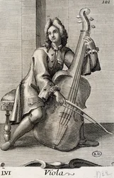 Mann spielt Viola