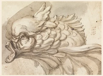 Zeichnung, Kopf eines Delfins, ca. 1775