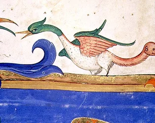 Missale 515 f.72v Fantastischer Vogel mit affengesichtigem Schwanz, Detail aus einem Chorbuch, vor 1449 ausgeführt (Detail)