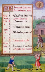 Ms 1058-1975 f6r Gras mähen, illuminierte Kalenderseite für Juni, aus einem Stundenbuch, ca. 1500 (Pergament)