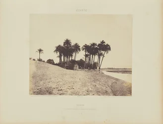 Louksor. Datteln und Garten der Expedition von Louksor