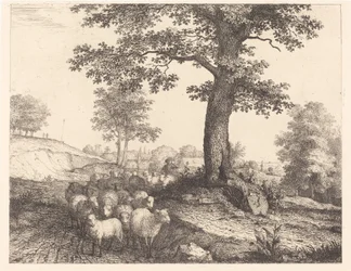 Hirte und Herde unter einem alten Baum