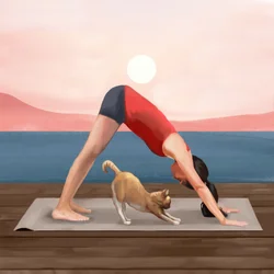 Sonnenaufgang Yoga-Katze