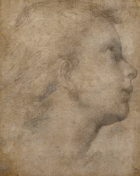 Kopf eines Engels im Profil, nach rechts blickend