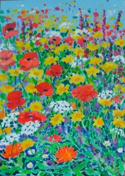 Wildblumenwiese, 2024