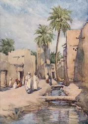 Die Oase von Biskra, Algerien