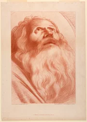 Kopf eines alten Mannes