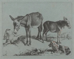 Esel mit ihrem Fohlen, einem Hund und einem Bauern