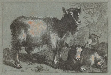 Ziege und zwei Kitze, 1758