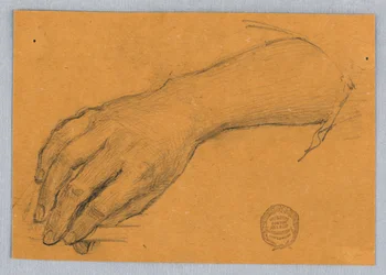 Studie von Hand und Handgelenk
