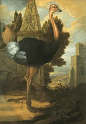Ein Strauß