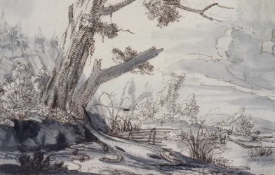 Fische auf einer Bank