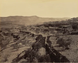Bethlehem - Das Hirtenfeld