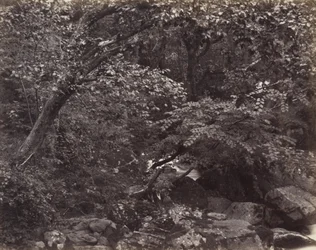 Schlucht bei Lynmouth, 1860er
