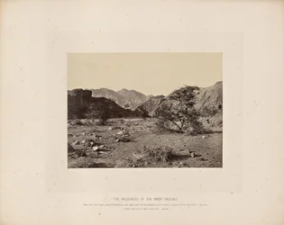 Die Wüste Sin (Wady Shellal)