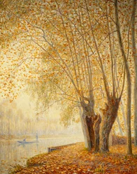 Die Weiden: Herbstsonneneffekt
