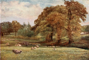 Das Tal der Gesundheit