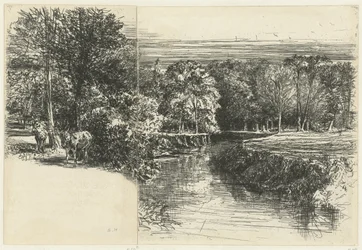 Zwei Esel und der Fluss Dundrum