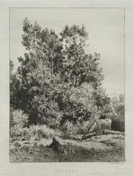 Landschaft