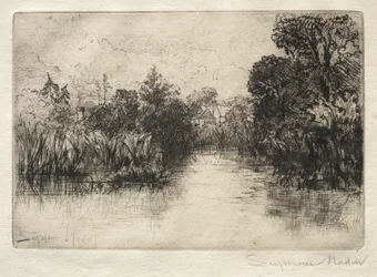 Shere Mill Pond (Eine kleine Studie)