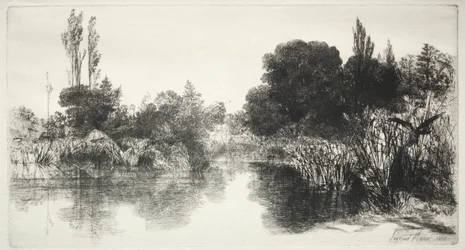 Shere Mill Pond (Die größere Platte)