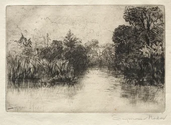 Shere Mill Pond Eine kleine Studie