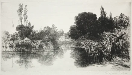 Shere Mill Pond, Nr. 11 (Die große Platte)