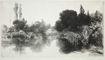 Shere Mill Pond, Nr. 11 Die große Platte, 1860 und später