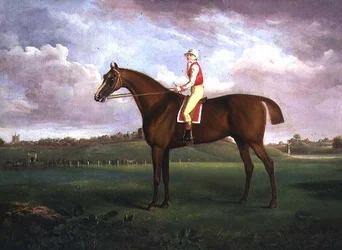 Jockey auf