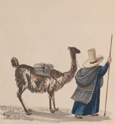 Eine Frau, die mit einem Lama geht, aus einer Gruppe von Zeichnungen, die peruanische Kostüme darstellen, ca. 1848