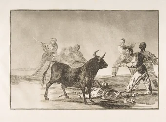 Tafel 12 aus der Tauromaquia: Die Menge lähmt den Stier mit Lanzen, Sicheln, Bande..., 1816