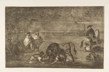 Tafel C: Die Hunde auf den Stier losgelassen, ca. 1816