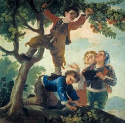 Jungen pflücken Obst