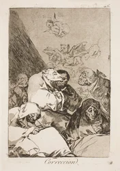 Zorn