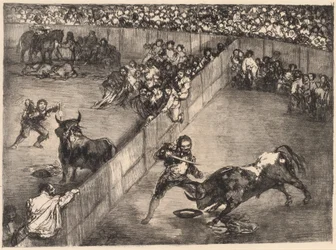 Stierkampf in einem geteilten Ring