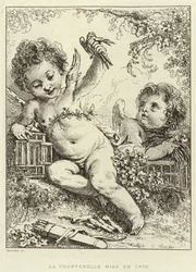 Die eingesperrte Turteltaube (Gravur)