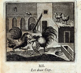 Die beiden Hähne. Fabeln von Jean de La Fontaine (1621-95). Illustration von François Chauveau (1613-1676). Ausgabe von 1728.