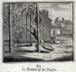 Illustration aus den 