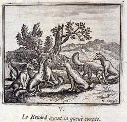 Illustration aus den 