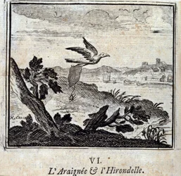 Die Spinne und die Schwalbe. Fabeln von Jean de La Fontaine. Illustration von François Chauveau. Ausgabe von 1728.