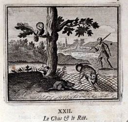 Die Katze und die Ratte. Fabeln von Jean de La Fontaine. Illustration von François Chauveau. Ausgabe von 1728.