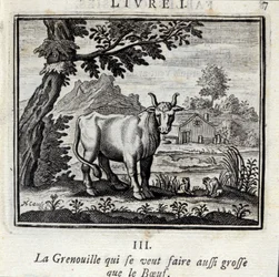 Der Frosch, der so groß wie der Ochse werden wollte. Fabeln von Jean de La Fontaine. Illustration von François Chauveau. Ausgabe von 1728.