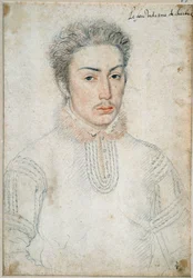 Porträt von François de Vendome, Vidame von Chartres (1523 - 1560)