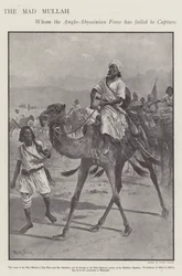 Mohammed Abdullah Hassan, der "Verrückte Mullah", somalischer religiöser und militärischer Führer (Litho)