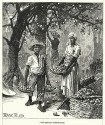 Pfirsichsammler in Madagaskar