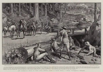 Wie australische Truppen zu Hause Lektionen aus Südafrika anwenden, eine erfolgreich überfallene Kolonne