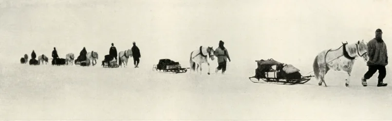 Ponys auf dem Marsch
