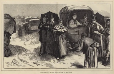 Sight-Seeing, eine Studie aus der Natur in Mortlake